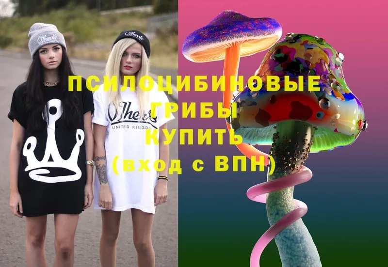 сколько стоит  Кушва  Псилоцибиновые грибы Magic Shrooms 